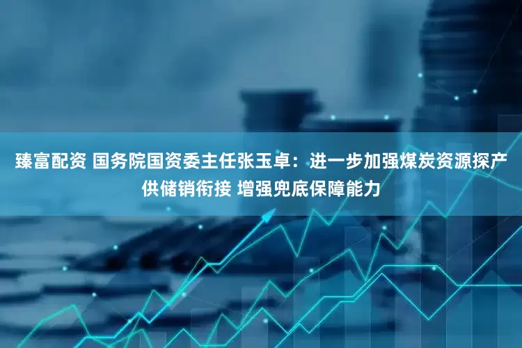 臻富配资 国务院国资委主任张玉卓：进一步加强煤炭资源探产供储销衔接 增强兜底保障能力