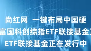 尚红网  一键布局中国硬科技资产  富国科创综指ETF联接基金正在发行中