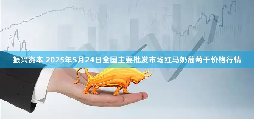 振兴资本 2025年5月24日全国主要批发市场红马奶葡萄干价格行情