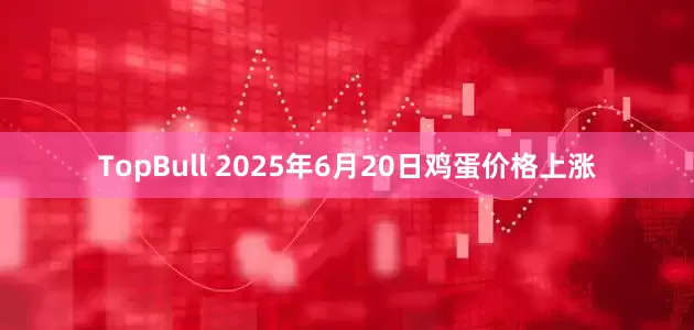 TopBull 2025年6月20日鸡蛋价格上涨