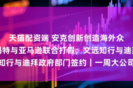 天猫配资端 安克创新创造海外众筹记录；泡泡玛特与亚马逊联合打假；文远知行与迪拜政府部门签约｜一周大公司出海动态