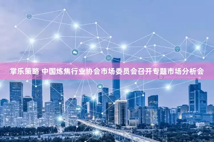 掌乐策略 中国炼焦行业协会市场委员会召开专题市场分析会